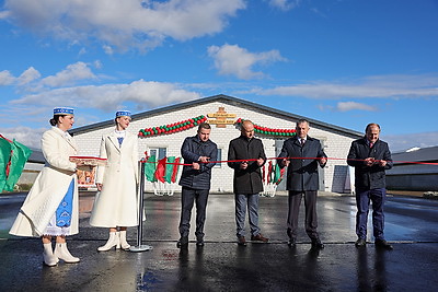 Новый молочно-товарный комплекс более чем на 1330 голов КРС открыли в Калинковичском районе