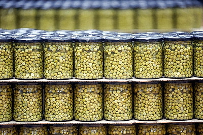 Студотрядовцы помогают в заготовке зеленого горошка в Гродно