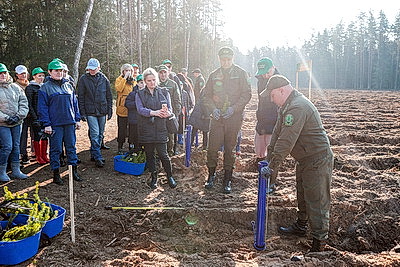 Члены Совета Республики приняли участие в акции \"Лес! Дабро! Парадак!\" в Столбцовском районе