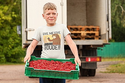 Cезон заготовок: Белкоопсоюз принимает продукцию у населения