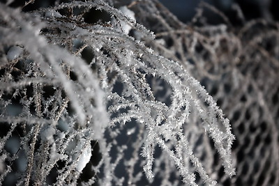 ФОТОХРОНИКА начинает новый информационный день