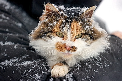 ФОТОХРОНИКА начинает новый информационный день