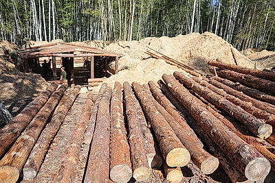 Призыв особого назначения. Какие навыки обретают нерадивые аграрии в армейских рядах