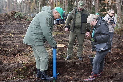 Депутаты Палаты представителей приняли участие в акции \"Дай лесу новае жыццё!\"