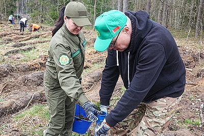 Республиканский субботник: коллектив Администрации Президента принял участие в благоустройстве мемориального комплекса и посадке леса