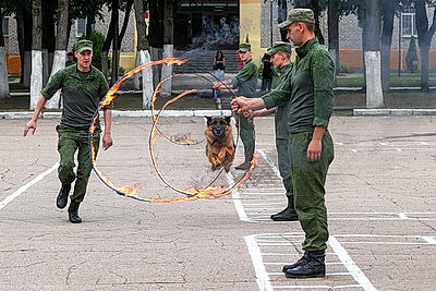 Новейшая техника и высокий профессионализм. 86-я бригада войск связи отметила юбилей