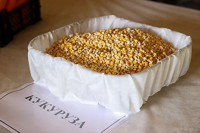 Русый о работе автолавок и сельмагов: люди должны иметь возможность купить все, что они хотят