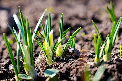 ФОТОХРОНИКА начинает новый информационный день