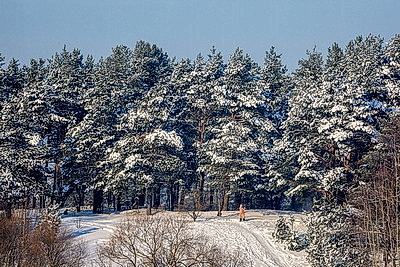 Зимний пейзаж