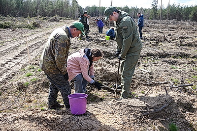 Республиканский субботник: коллектив Администрации Президента принял участие в благоустройстве мемориального комплекса и посадке леса