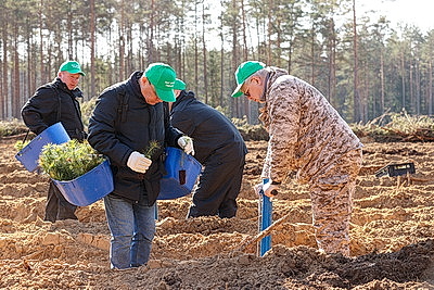 Навести порядок в общем доме. Вольфович об акции \"Лес! Дабро! Парадак!\"