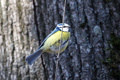 Солнечный весенний день в Минске