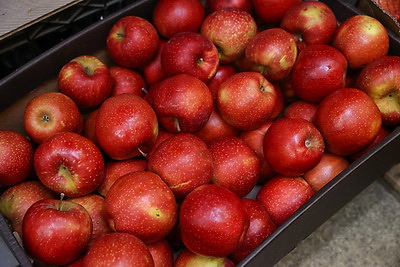 Русый о работе автолавок и сельмагов: люди должны иметь возможность купить все, что они хотят