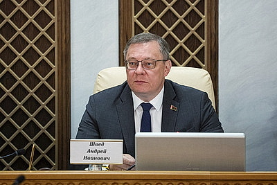 Смягчение наказания и оперативная реакция на новые вызовы. Швед - о трендах уголовно-правовой политики