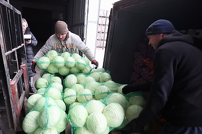 Как в Гродненской области хранят и реализуют плодоовощную продукцию
