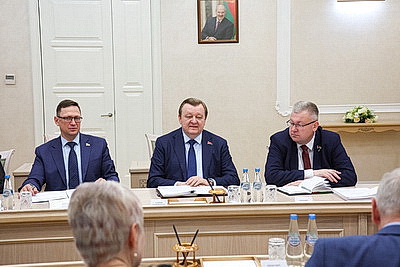 В Совете Республики состоялось заседание экспертного совета