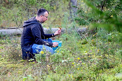 Разгар грибного сезона в Гродненском районе