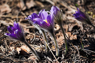 ФОТОХРОНИКА начинает новый информационный день