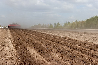 Посадка раннего картофеля идет в крупном хозяйстве Ивановского района