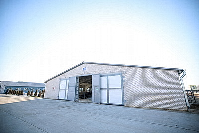 Лукашенко ознакомился с развитием мясного скотоводства и молочной отрасли