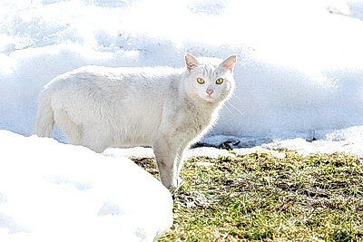 ФОТОХРОНИКА начинает новый информационный день