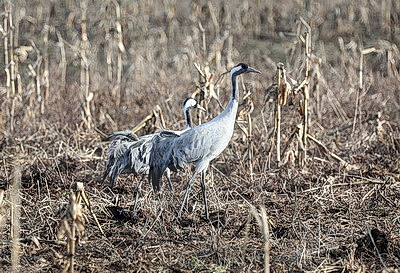 ФОТОХРОНИКА начинает новый информационный день