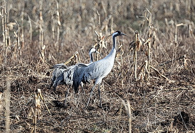 ФОТОХРОНИКА начинает новый информационный день