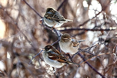 ФОТОХРОНИКА начинает новый информационный день