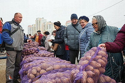 Овощи прямо с грядки. В Могилеве прошла большая сельхозярмарка