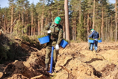 Навести порядок в общем доме. Вольфович об акции \"Лес! Дабро! Парадак!\"