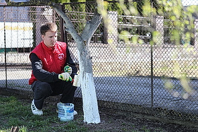 Акция \"Тепло и свет нашим ветеранам\" проходит в Минской области