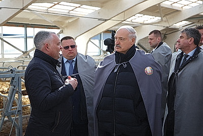 Лукашенко ознакомился с развитием мясного скотоводства и молочной отрасли