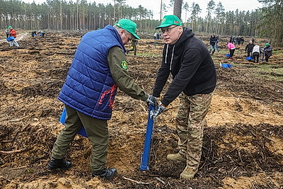 Республиканский субботник: коллектив Администрации Президента принял участие в благоустройстве мемориального комплекса и посадке леса