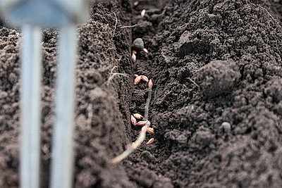 Как спутниковая навигация повышает шансы на богатый урожай уже в посевную