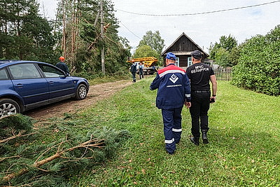 Снесенные крыши и оборванные провода. Минская область ликвидирует последствия удара стихии