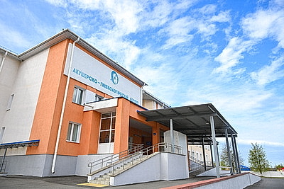 Пример райцентра с развитой социальной инфраструктурой. Что Лукашенко показали в Петрикове