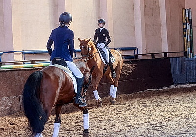 Олимпийские дни молодежи по выездке стартовали в Гомеле