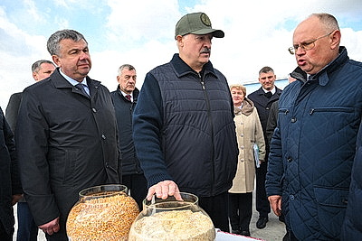 Cельское хозяйство и \"кондитерка\". Лукашенко посетил Наровлянский район
