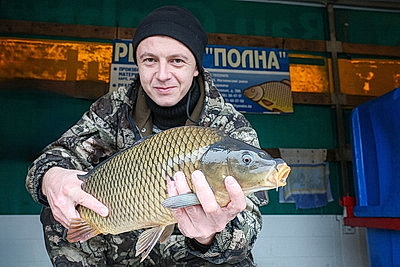 Овощи прямо с грядки. В Могилеве прошла большая сельхозярмарка
