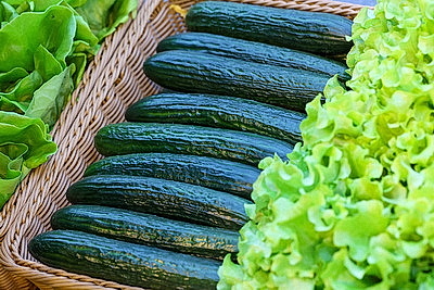 Круглый год в магазинах! Как выращивают овощи в тепличном хозяйстве \"ДОРОРС\"