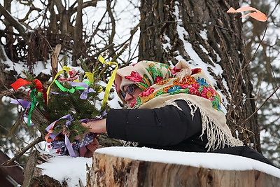 Колядное волшебство. Как в Могилевском районе встречают туристов из разных стран