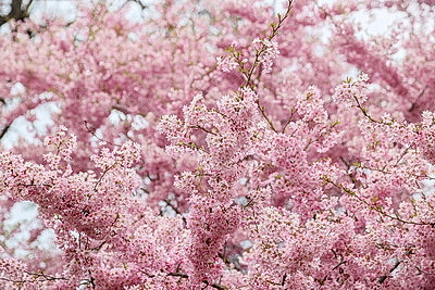 Яркие краски брестских улиц