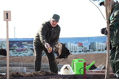 Лукашенко на субботнике работал на площадке Национального исторического музея
