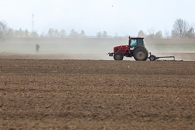 \"Погода испытывает на прочность, но мы не пасуем\". В Быховском районе активно сеют кукурузу на зерно