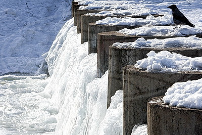 ФОТОХРОНИКА начинает новый информационный день