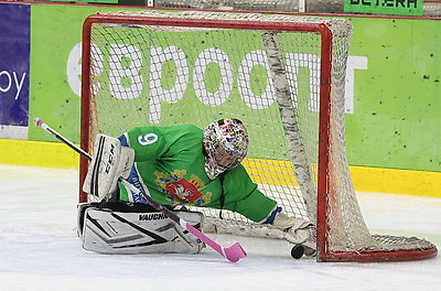 В Витебске завершился областной турнир по хоккею \"Золотая шайба\"