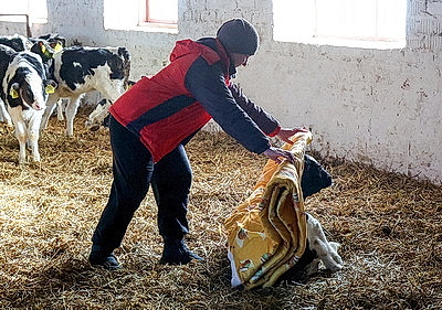 Теплые одеяла для согрева телят передали активисты Витебского областного отделения БСЖ