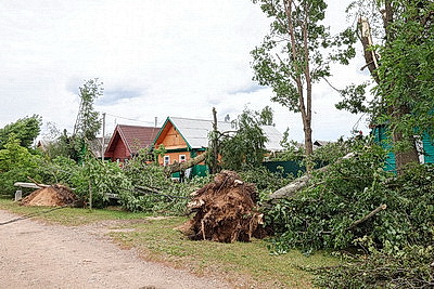 Снесенные крыши и оборванные провода. Минская область ликвидирует последствия удара стихии