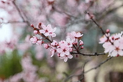 Яркие краски брестских улиц