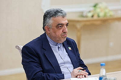 Сотрудничество с Ираном обсудили в Совете Республики